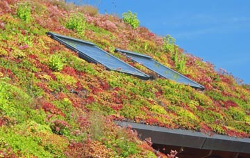 Lower Caversham living roof systems